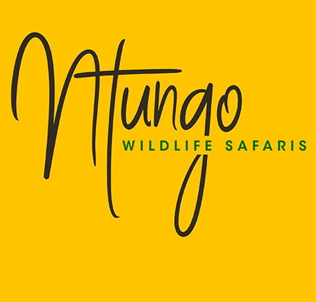 Ntungo Wildlife Safaris