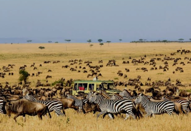 Mabidonga Robert Belamine