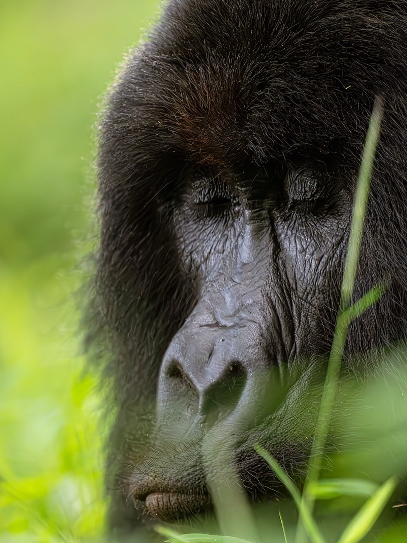 Tinkasiimire Obadiah